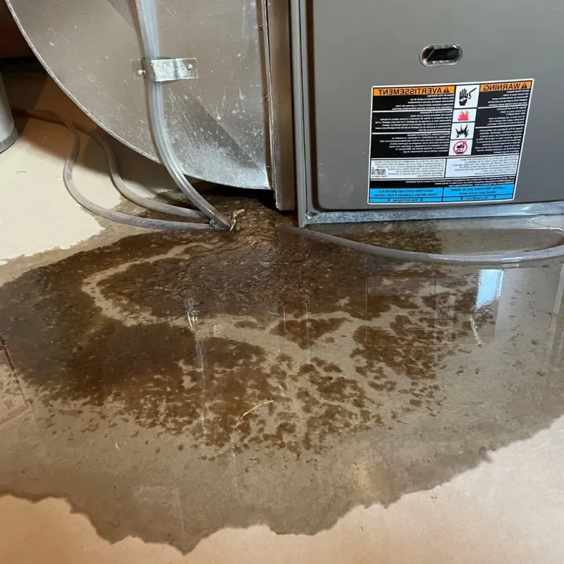 Pipe Burst and Leak Restoration in Durand, WI